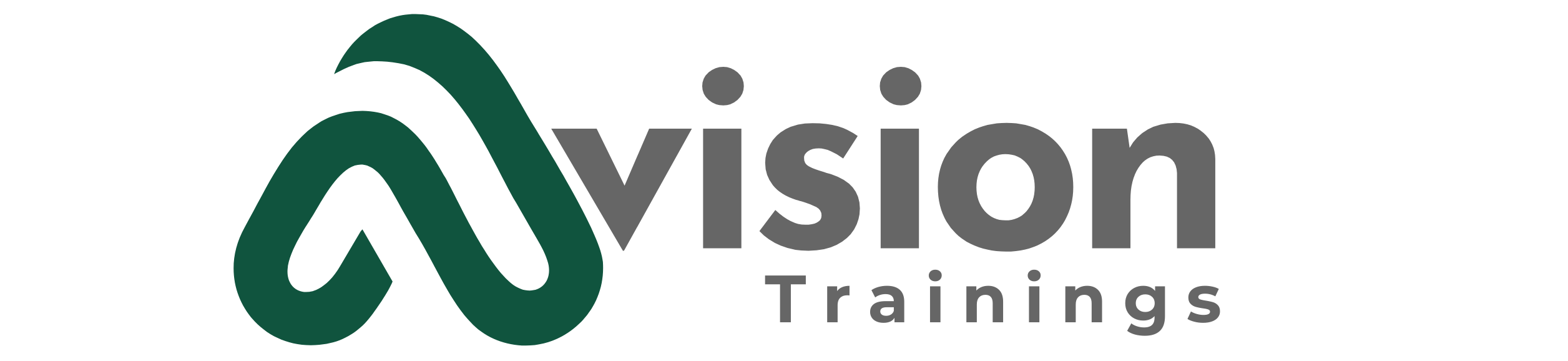avision trainings