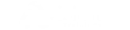 Avision Trainings
