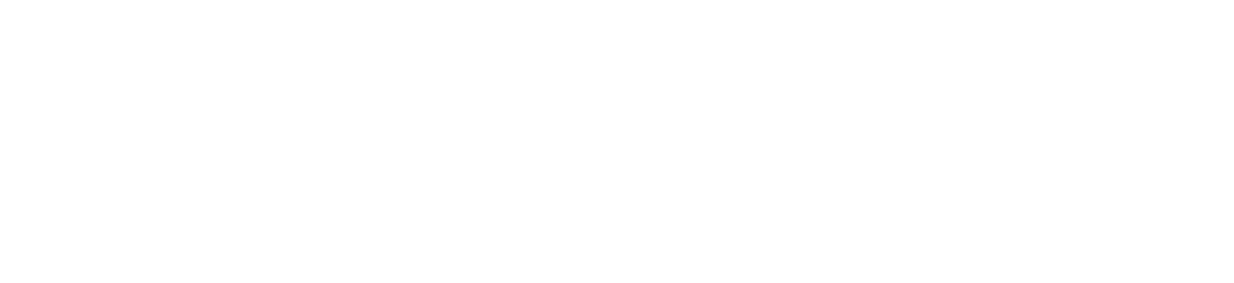 Avision Trainings